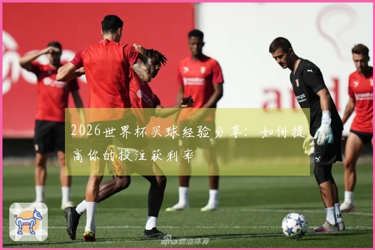 2026世界杯买球经验分享：如何提高你的投注获利率