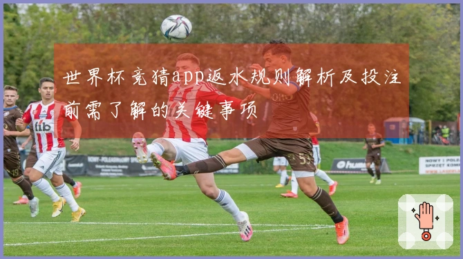 世界杯竞猜app返水规则解析及投注前需了解的关键事项
