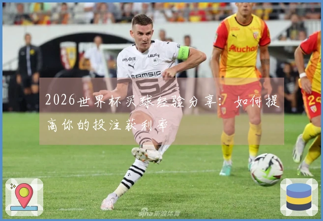 2026世界杯买球经验分享:如何提高你的投注获利率