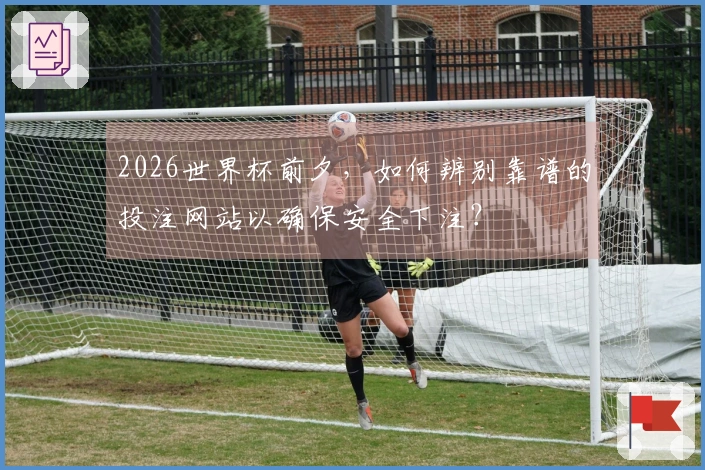 2026世界杯前夕，如何辨别靠谱的投注网站以确保安全下注？