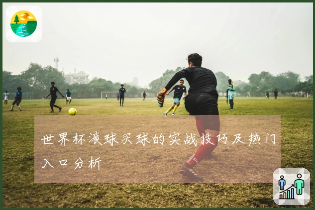 世界杯滚球买球的实战技巧及热门入口分析
