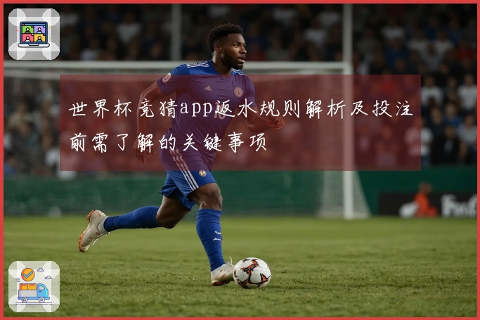 世界杯竞猜app返水规则解析及投注前需了解的关键事项