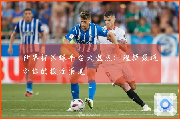 世界杯买球平台大盘点：选择最适合你的投注渠道