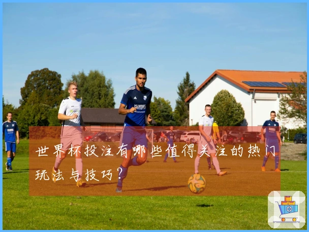 世界杯投注有哪些值得关注的热门玩法与技巧？