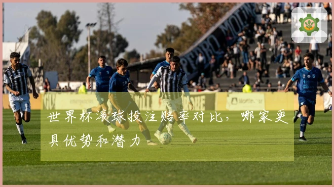 世界杯滚球投注赔率对比，哪家更具优势和潜力